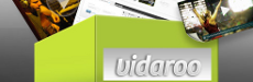 Vidaroo Corp. - VIDA